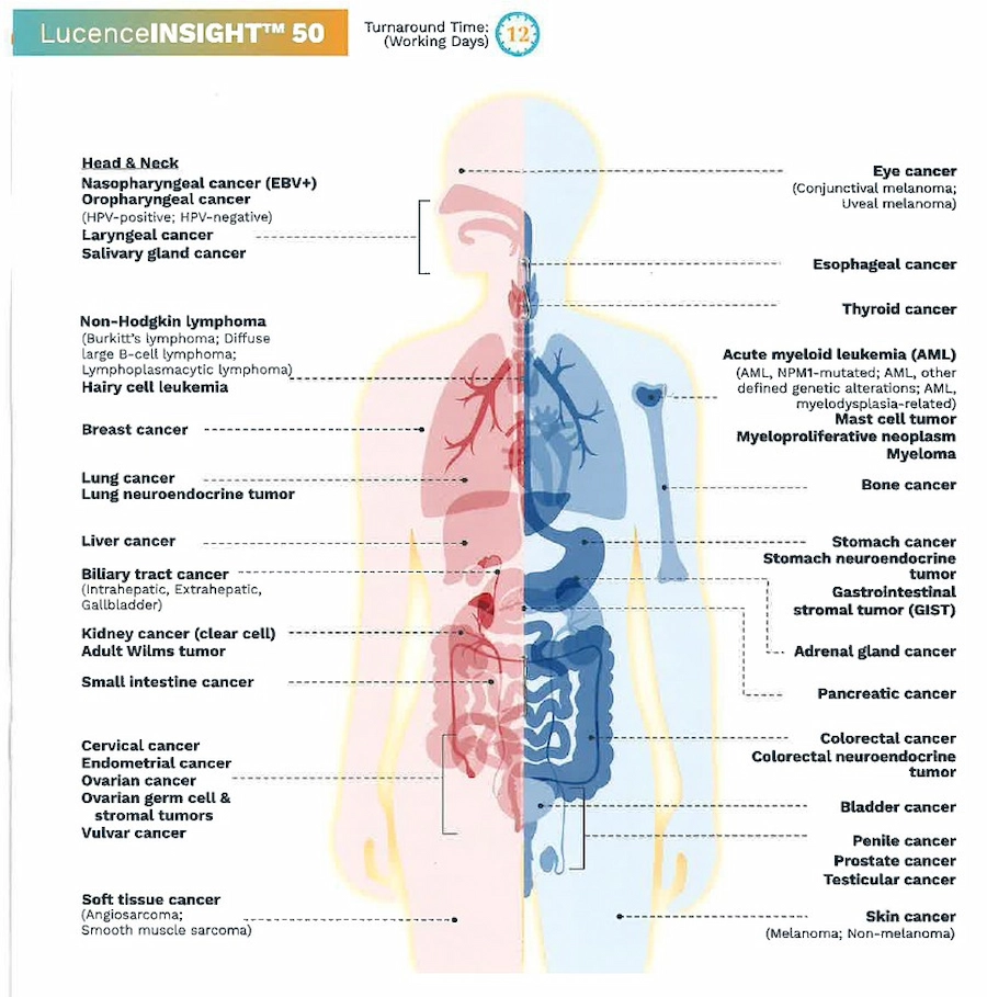 LucenceINSIGHT_2025